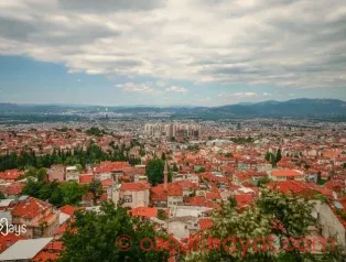 Softinays – Web Tasarım ve Yazılım Hizmetleri