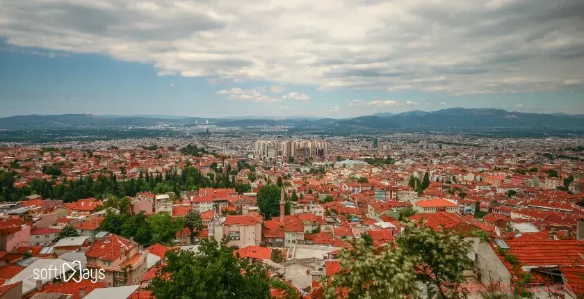 Softinays – Web Tasarım ve Yazılım Hizmetleri