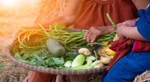 Doğa ile işbirliği: Permakültür Doğa ile işbirliği: Permakültür