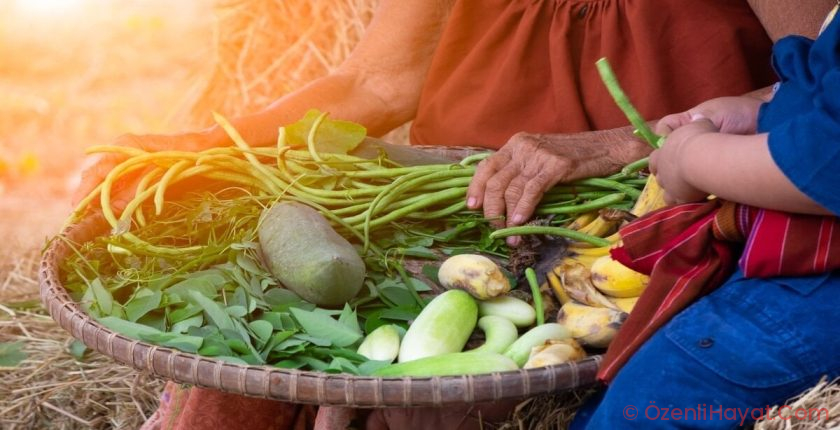 Doğa ile işbirliği: Permakültür