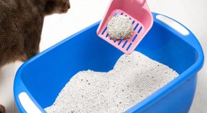 Hamilelikte bunu sakın yapmayın! Sebebi şok edecek…