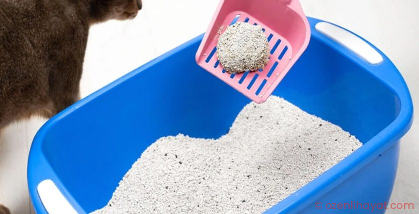 Hamilelikte bunu sakın yapmayın! Sebebi şok edecek…