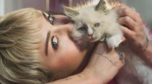 Modern Kent Yaşamında Kedilerle Kurulan Bağ