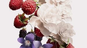 Parfümerinin Yeni Baştan Çıkarma Kodu Parfümerinin Yeni Baştan Çıkarma Kodu