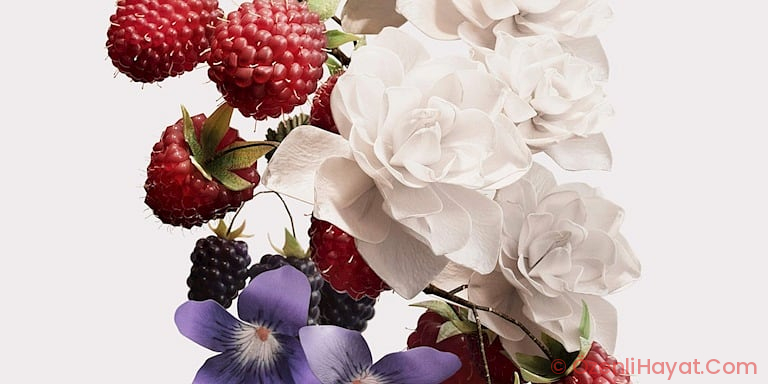 Parfümerinin Yeni Baştan Çıkarma Kodu