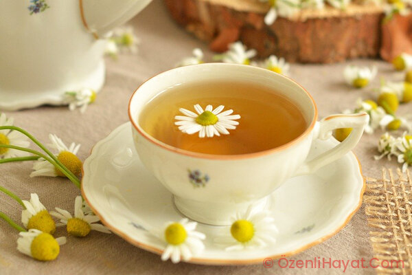 Anne sütünü arttırmaya yarayan yiyecekler