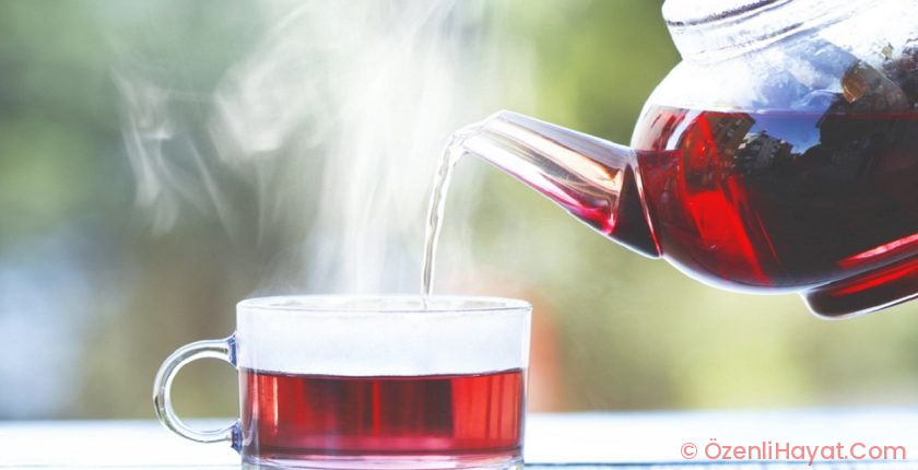 BAĞIŞIKLIK GÜÇLENDİRİCİ: KUŞBURNU ÇAYI