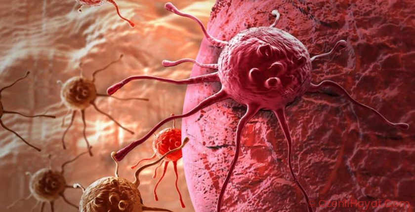 Bedeninizin sessiz ihtarları: Kanser öncesi belirtileri göz gerisi etmeyin! Bedeninizin sessiz ihtarları: Kanser öncesi belirtileri göz gerisi etmeyin!