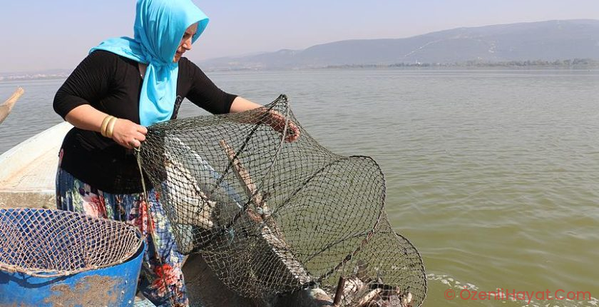 Bursa’nın gizli cenneti: Gölyazı
