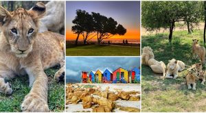 DÜNYA BU TÜRLÜ DAHA GÜZEL!