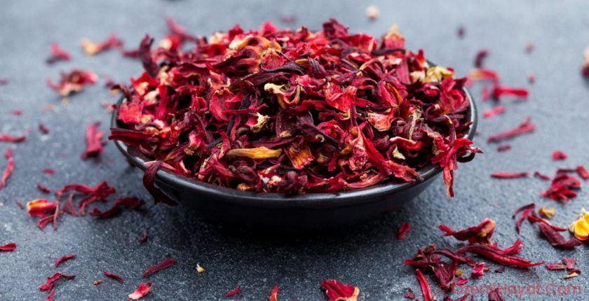 Ebegümeci nedir? Nasıl tüketilmelidir? Ne işe fayda? Ebegümeci nedir? Nasıl tüketilmelidir? Ne işe fayda?