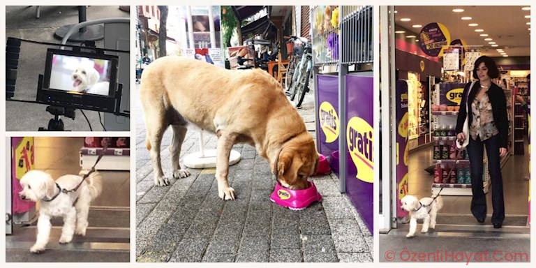 GRATIS VE GONCA VUSLATERİ HAYVANLARI MUHAFAZA GÜNÜ’NE ÖZEL PROJEDE BULUŞTU