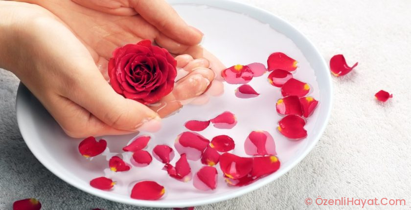 Gül suyu nedir? Yararları nelerdir? Nasıl kullanılmalıdır?