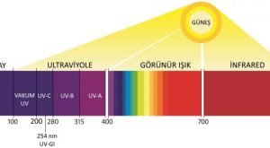 Güneş kremini neden ihmal etmemeliyiz? İşte güneşin zararları!