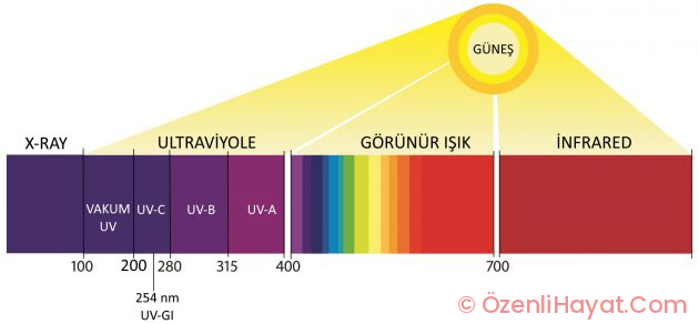 Güneş kremini neden ihmal etmemeliyiz? İşte güneşin zararları!