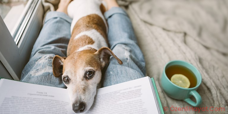 HER TARAFIYLA TOPLUMSAL İZOLASYON VE TOPLUMSAL MESAFELENDİRME HER TARAFIYLA TOPLUMSAL İZOLASYON VE TOPLUMSAL MESAFELENDİRME