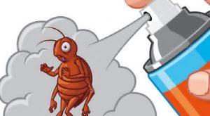 Karıncaları apartmandan çıkarmak için 3 ipucu