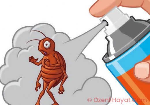 Karıncaları apartmandan çıkarmak için 3 ipucu