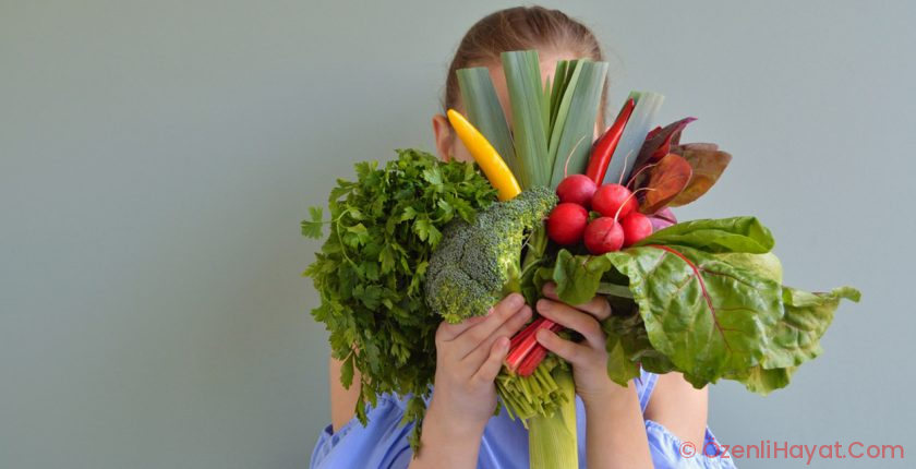 KİLO VERMEYE YARDIMCI EN TESİRLİ 14 DİYET