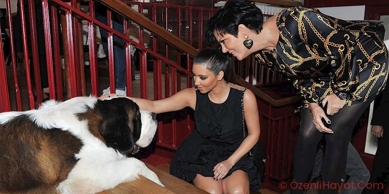 KIM KARDASHIAN YAVRU KÖPEKLERİNİN İSMİ İÇİN YARDIM İSTİYOR