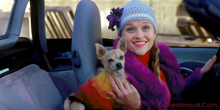 MEMNUNLUK GARANTİLİ 20 SİNEMA ÖNERİSİ