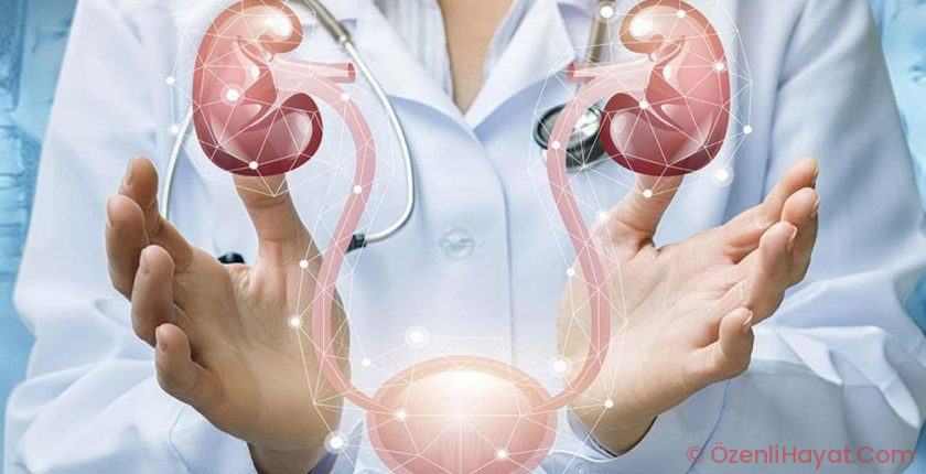 Mesane kanserinde sinsi tehlike: “İdrardaki her kanama hayati ehemmiyet taşıyor”