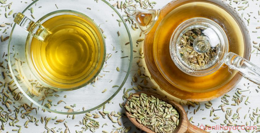 REZENE ÇAYI HAKKINDA BİLMENİZ GEREKENLER