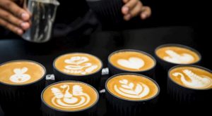 SABAH KAHVENİZİN YERİNE GEÇECEK YENİ BİTKİ: HİNDİBA KÖKÜ