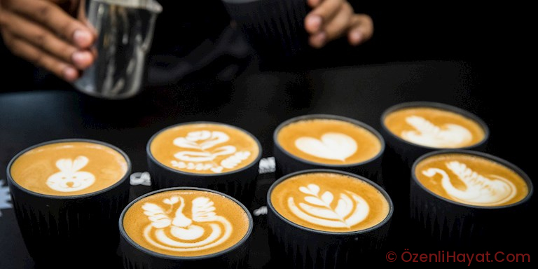 SABAH KAHVENİZİN YERİNE GEÇECEK YENİ BİTKİ: HİNDİBA KÖKÜ SABAH KAHVENİZİN YERİNE GEÇECEK YENİ BİTKİ: HİNDİBA KÖKÜ