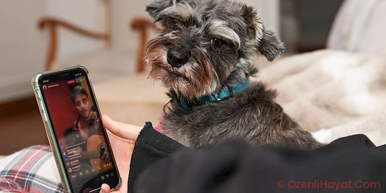 ‘SOSYAL İZOLASYON’ HAKKINDA BİLMENİZ GEREKENLER