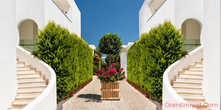 TATİLE HAZIR MISINIZ?