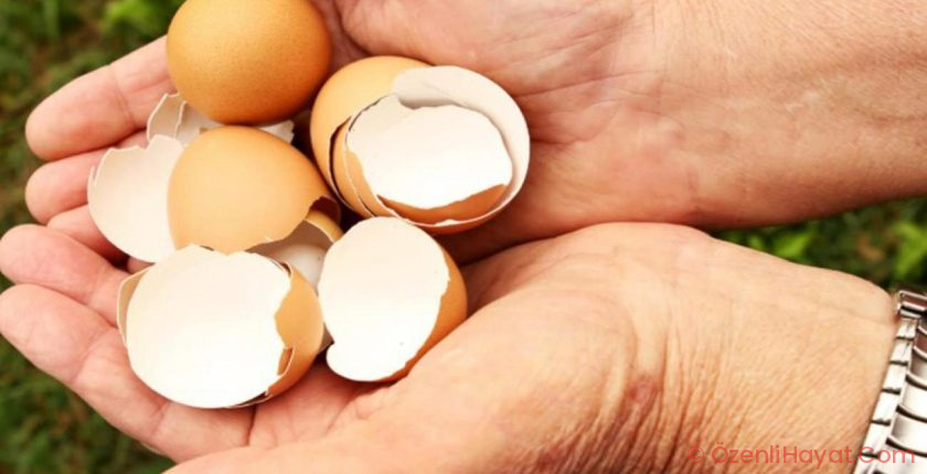 Yumurta kabuğu tüketimi trend oldu! Uzmanlar kıymetli ikazlarda bulundu Yumurta kabuğu tüketimi trend oldu! Uzmanlar kıymetli ikazlarda bulundu