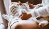 BİRİNCİ KERE KEDİ SAHİPLENENLER İÇİN 5 ALTIN KURAL