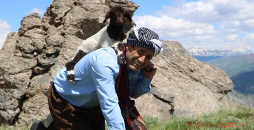Evvel yavru keçiyi kurtardı sonra sazı eline aldı! Aydın Aydın’dan ezber bozan ikaz