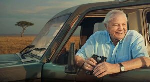 Gezegenin gördüğü en büyük tabiat elçisi: David Attenborough 100 yaşında!