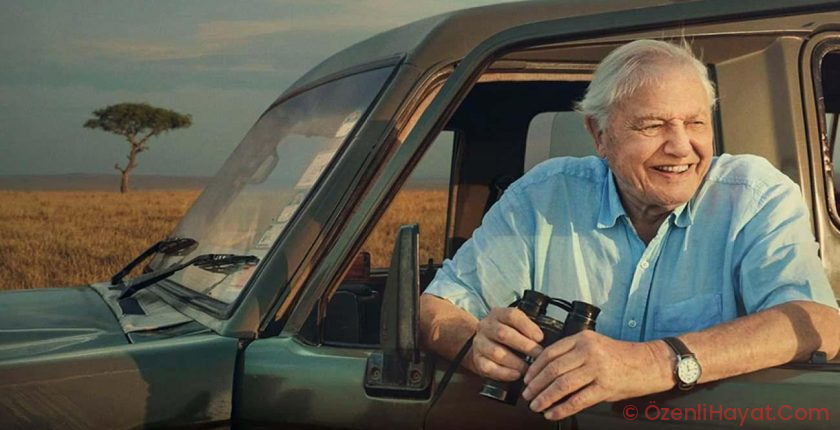 Gezegenin gördüğü en büyük tabiat elçisi: David Attenborough 100 yaşında! Gezegenin gördüğü en büyük tabiat elçisi: David Attenborough 100 yaşında!