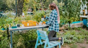 Grow Your Own Food—Without Spending More On Your Garden Than You Would On Groceries