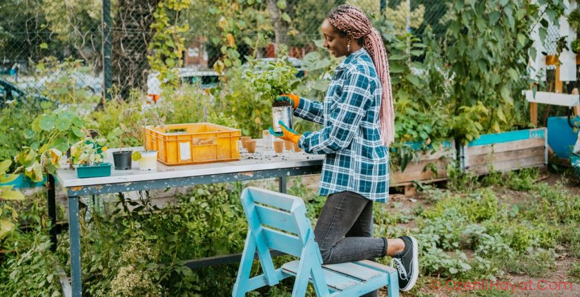 Grow Your Own Food—Without Spending More On Your Garden Than You Would On Groceries