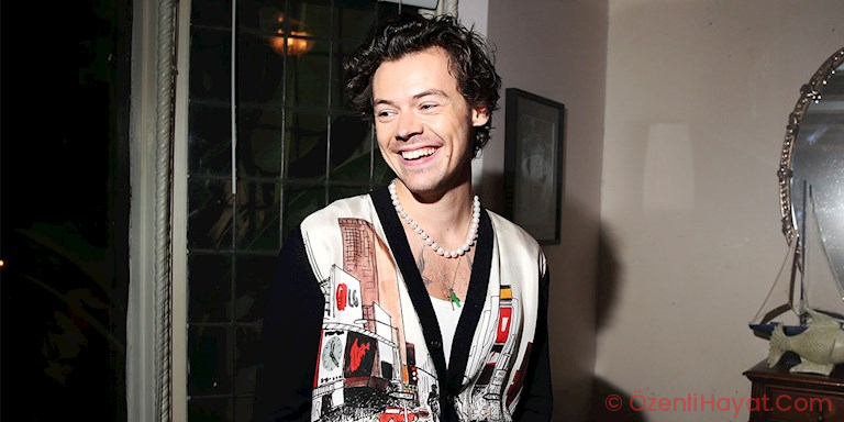 HARRY STYLES EKRANLARA DÖNÜYOR HARRY STYLES EKRANLARA DÖNÜYOR