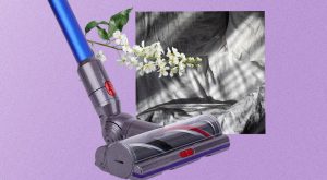 How to Allergy-Proof Your Home or Apartment, According to Experts