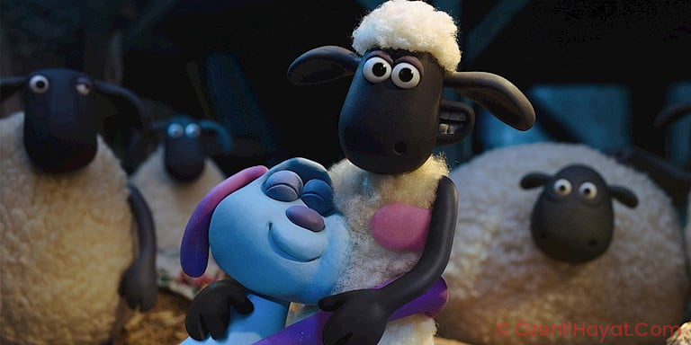 KOYUN SHAUN OSCAR ADAYI OLDU! KOYUN SHAUN OSCAR ADAYI OLDU!