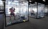 These Social Distancing Gym Pods Are Reminding People of Joe From Netflix’s You These Social Distancing Gym Pods Are Reminding People of Joe From Netflix’s You