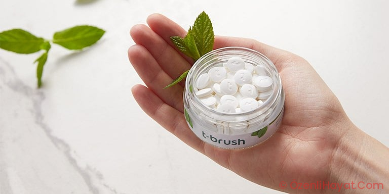 VEGAN VE TABİAT DOSTU: T-BRUSH DİŞ MACUNU VEGAN VE TABİAT DOSTU: T-BRUSH DİŞ MACUNU