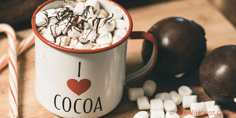 YENİ TAKINTIMIZ: HOT COCOA BOMBS YENİ TAKINTIMIZ: HOT COCOA BOMBS