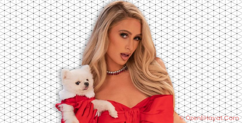 You’d Better Believe Paris Hilton Uses Cooking Utensils Covered in Crystals