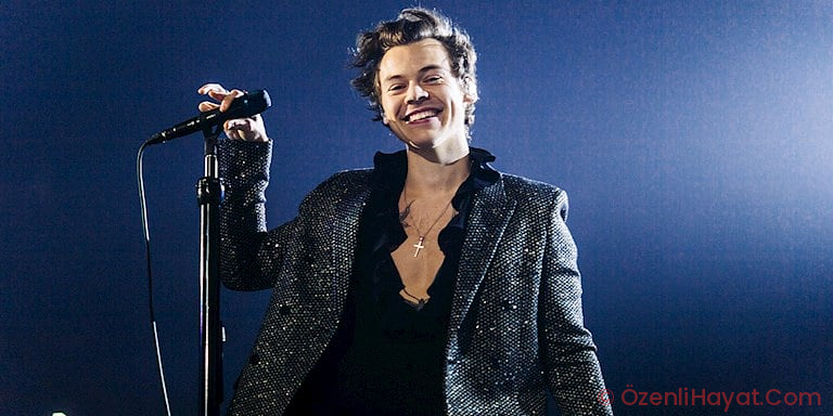 HARRY STYLES HOŞLUK MARKASI MI KURUYOR? HARRY STYLES HOŞLUK MARKASI MI KURUYOR?