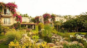 NO:81 HOTEL BODRUM TÜRKBÜKÜ’NDE DÖNEMİ AÇTI!