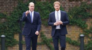 PRENS WILLIAM VE PRENS HARRY AYLAR SONRA YİNE BİR ORTADA