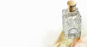 TABİATA ÖVGÜ: ETRO WHITE MAGNOLIA TABİATA ÖVGÜ: ETRO WHITE MAGNOLIA
