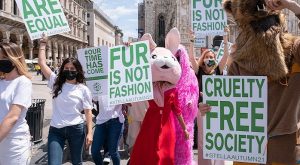 ÜNLÜLER STELLA MCCARTNEY’NİN ANTİ-KÜRK KAMPANYASINA KATILDI